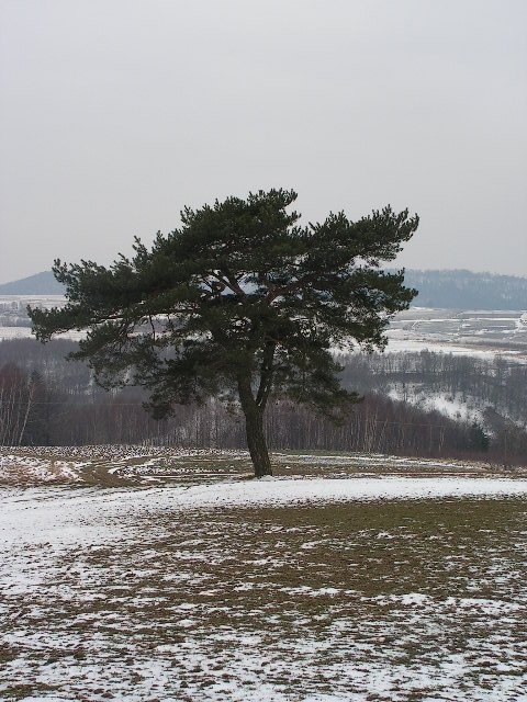 Pogranicze Szufnarowej i Jaszczurowej 
