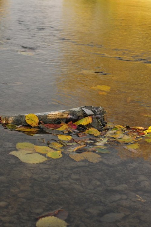 W jesiennym słońcu