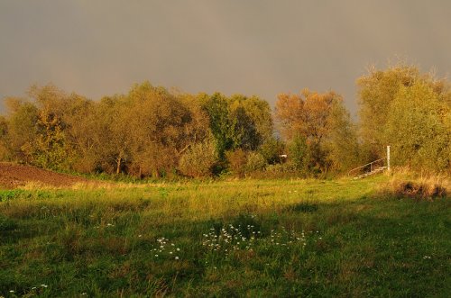 W jesiennym słońcu