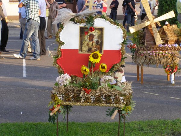 fot. Tomasz Bysiewicz