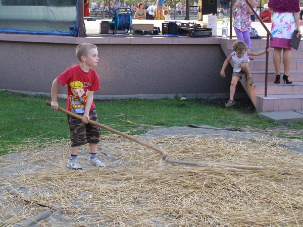 fot. Tomasz Bysiewicz