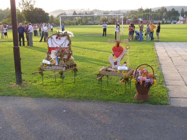 fot. Tomasz Bysiewicz