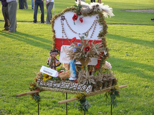 fot. Tomasz Bysiewicz