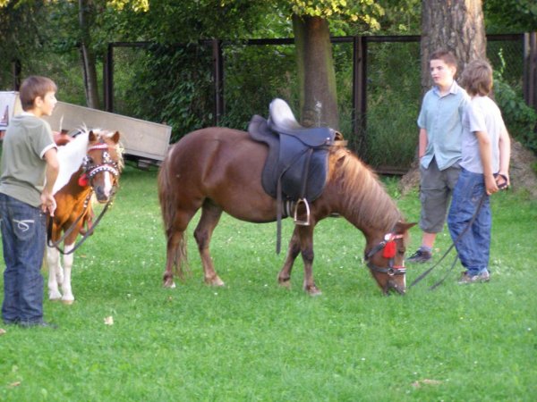 fot. Tomasz Bysiewicz