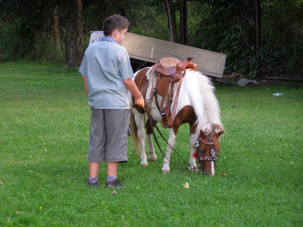 fot. Tomasz Bysiewicz