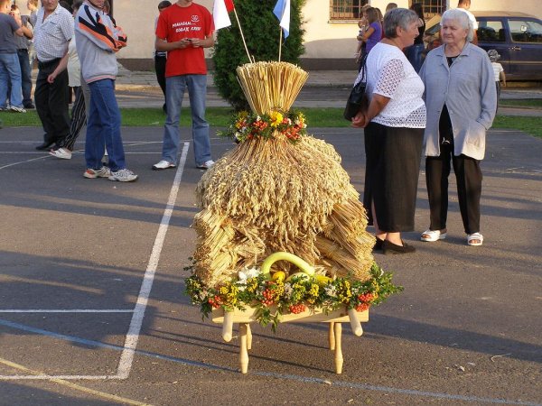 fot. Tomasz Bysiewicz