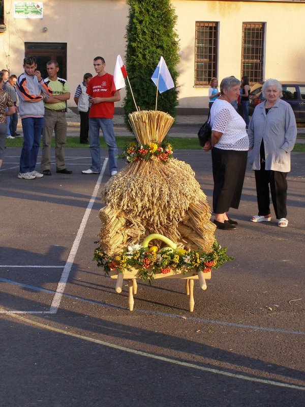 fot. Tomasz Bysiewicz