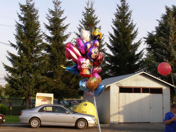 fot. Tomasz Bysiewicz