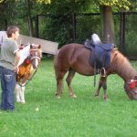 fot. Tomasz Bysiewicz