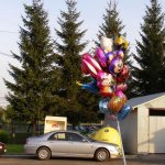 fot. Tomasz Bysiewicz