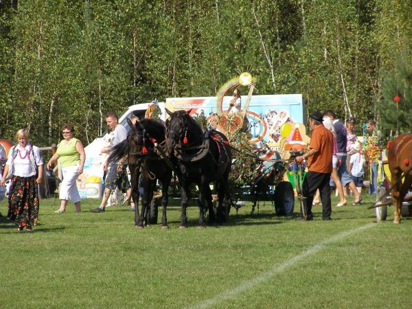 fot. Tomasz Bysiewicz