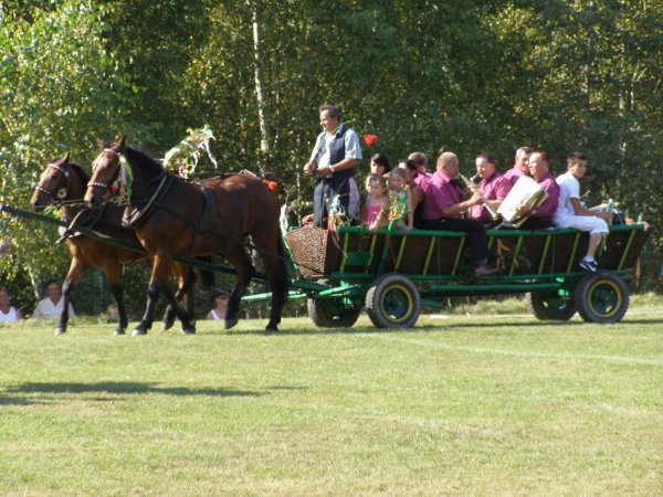 fot. Tomasz Bysiewicz
