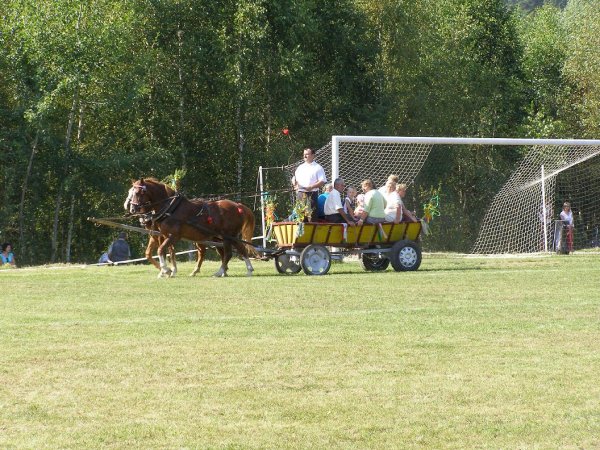 fot. Tomasz Bysiewicz