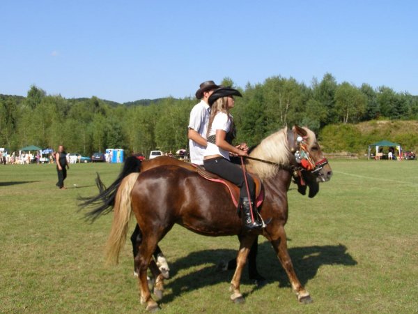 fot. Tomasz Bysiewicz