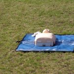 fot. Tomasz Bysiewicz