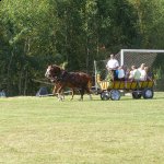 fot. Tomasz Bysiewicz