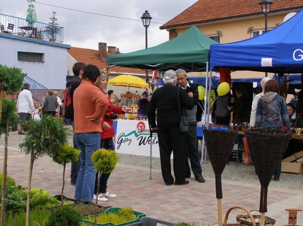 Drugi dzień obchodów Dni Ziemi Frysztackiej 2011