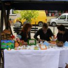 Drugi dzień obchodów Dni Ziemi Frysztackiej 2011