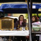 Drugi dzień obchodów Dni Ziemi Frysztackiej 2011