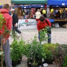 Drugi dzień obchodów Dni Ziemi Frysztackiej 2011