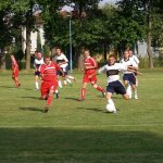 fot. Tomasz Bysiewicz