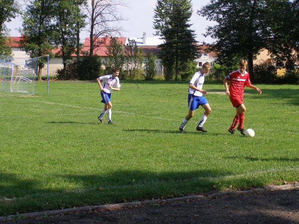 fot. Tomasz Bysiewicz