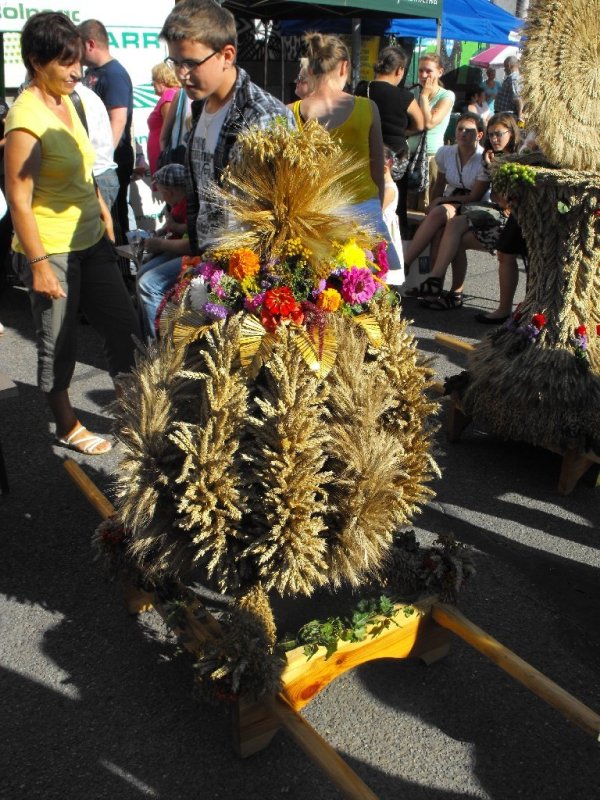 Dożynki 2011 w Strzyżowie