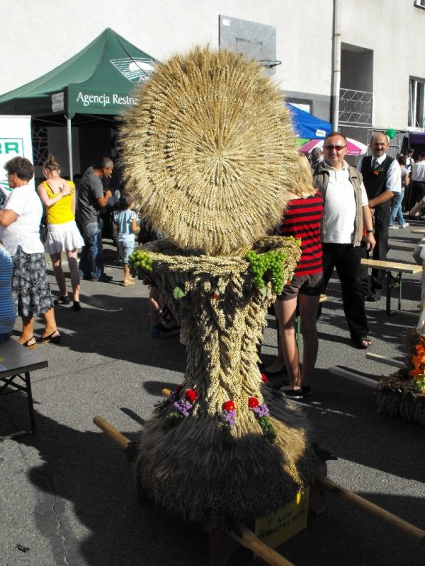 Dożynki 2011 w Strzyżowie