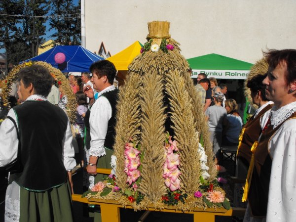 Dożynki 2011 w Strzyżowie