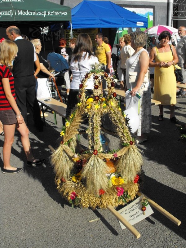 Dożynki 2011 w Strzyżowie
