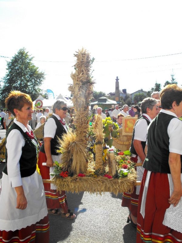 Dożynki 2011 w Strzyżowie