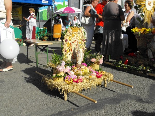Dożynki 2011 w Strzyżowie