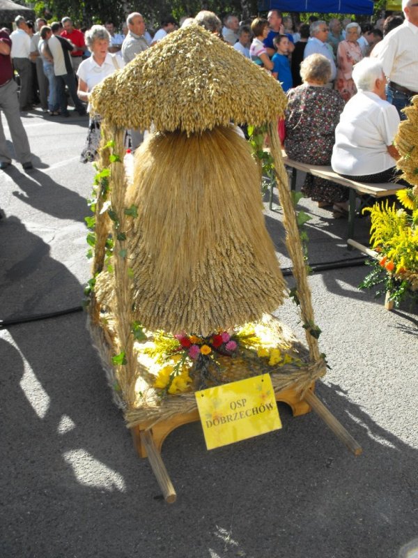 Dożynki 2011 w Strzyżowie