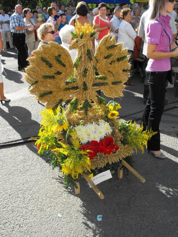 Dożynki 2011 w Strzyżowie