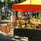 Dożynki 2011 w Strzyżowie