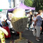 Dożynki 2011 w Strzyżowie