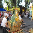 Dożynki 2011 w Strzyżowie