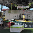 Dożynki 2011 w Strzyżowie