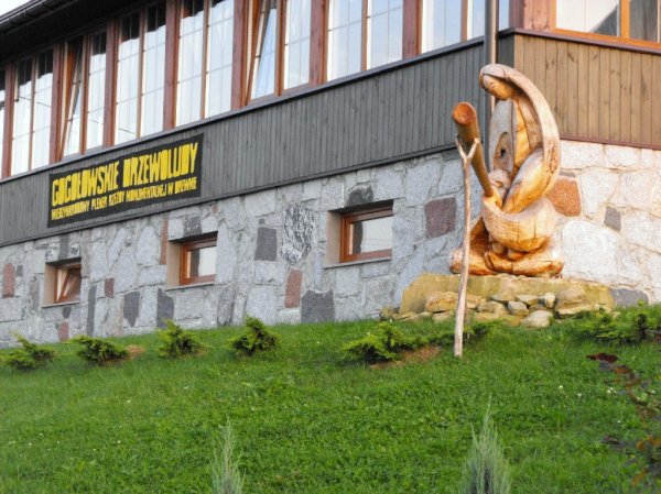 I Międzynarodowego Plener w Drewnie - Gogołowskie drzewoludy 2009