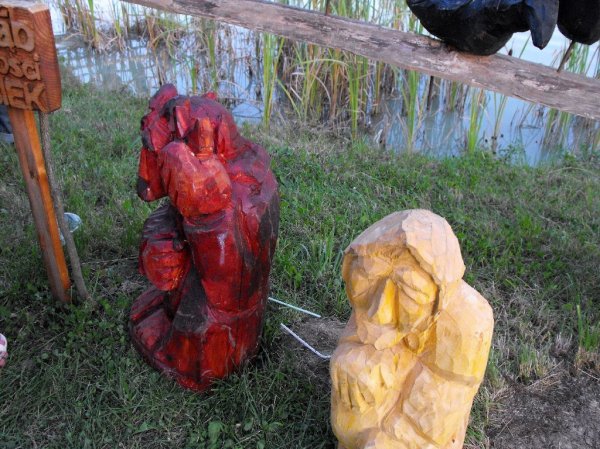 I Międzynarodowego Plener w Drewnie - Gogołowskie drzewoludy 2009