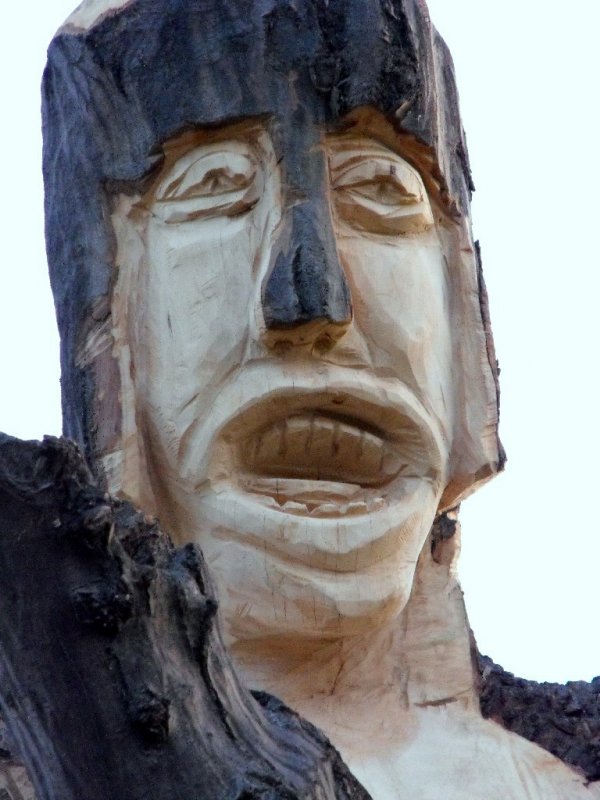 I Międzynarodowego Plener w Drewnie - Gogołowskie drzewoludy 2009