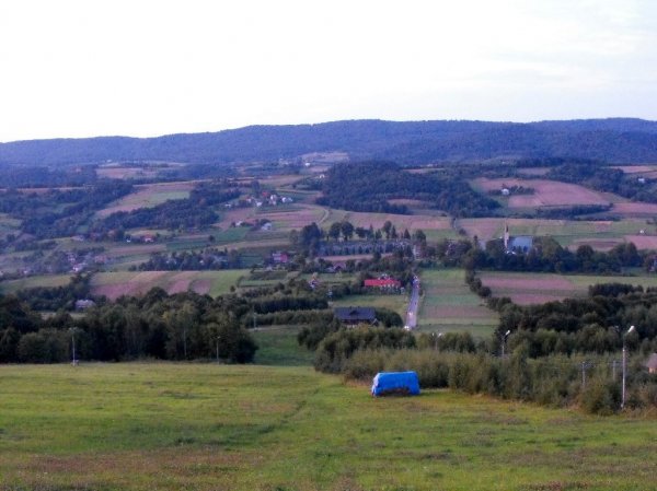 I Międzynarodowego Plener w Drewnie - Gogołowskie drzewoludy 2009