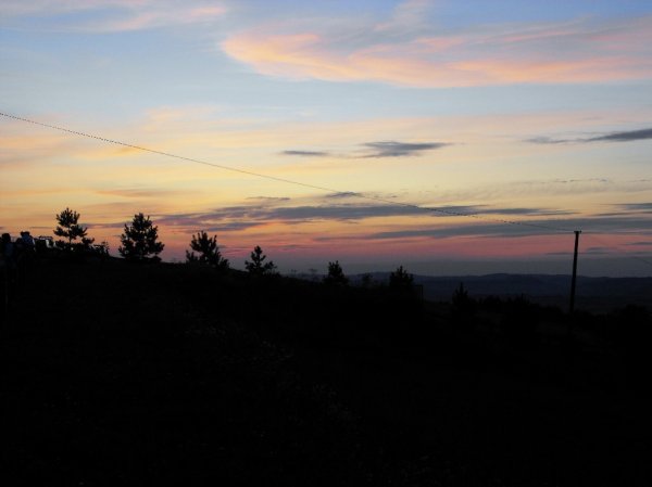 I Międzynarodowego Plener w Drewnie - Gogołowskie drzewoludy 2009