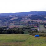 I Międzynarodowego Plener w Drewnie - Gogołowskie drzewoludy 2009