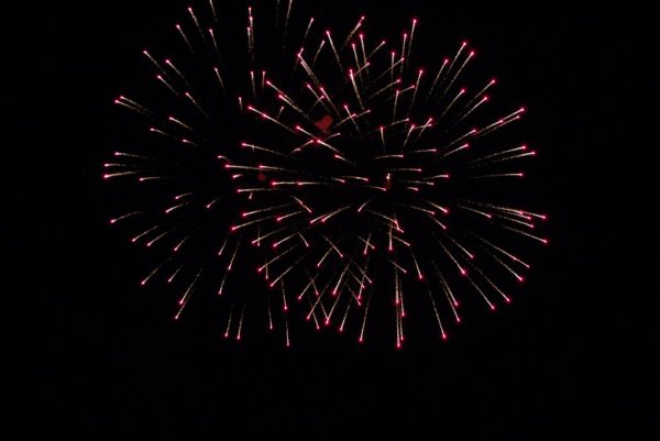 Galeria zdjęc z Dni Ziemi Frysztackiej 2013, koncert Sami