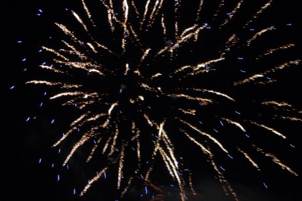 Galeria zdjęc z Dni Ziemi Frysztackiej 2013, koncert Sami