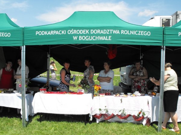 Dożynki Malinowe Połomia 2011