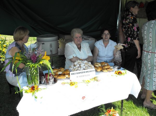 Dożynki Malinowe Połomia 2011