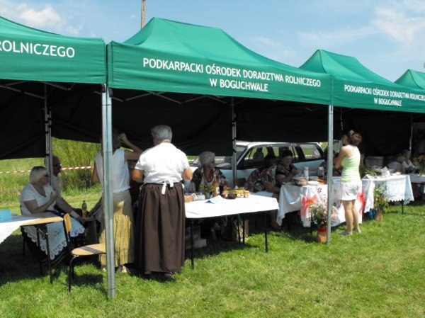 Dożynki Malinowe Połomia 2011