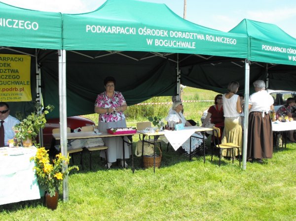 Dożynki Malinowe Połomia 2011